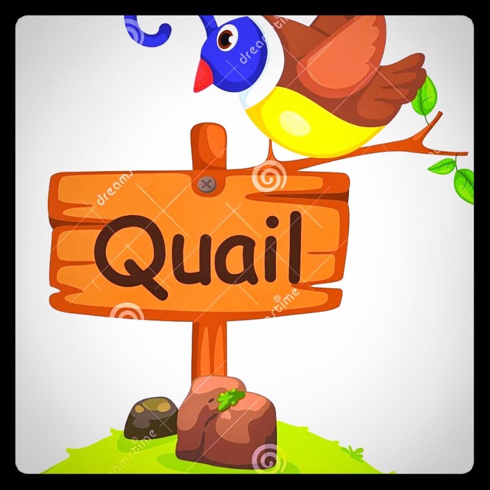 "Cloudy with a Chance of Quail...."